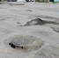 2_118_thumb_main - Sibnovosti.ru