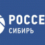 Заместитель гендиректора Россети Сибирь вышла в суперфинал «Лидеров России 2020» - Забайкальский рабочий