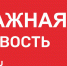 Внимание! ZAB.RU временно прекращает информировать читателей о ситуации с пандемией коронавируса - Zabmedia.Ru