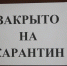 Забайкалье находится на пике по коронавирусу - Шангина - Zabmedia.Ru