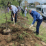 _______thumb_main - Sibnovosti.ru