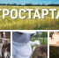 Минсельхоз Забайкалья объявил о проведении конкурса на получение гранта «Агростартап» - Инвестиционный портал