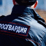 Десятки человек задержали сотрудники Росгвардии за неделю - ZAB.RU