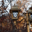 До 13 градусов тепла ожидается в Забайкалье - ZAB.RU
