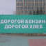 Бензин снова подорожал за неделю - ZAB.RU