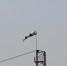 Ухудшение погоды прогнозируют в Забайкалье - ZAB.RU