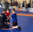 Чемпионат и первенство Забайкальского края по грэпплингу: спорт без границ - Комитет образования г. Чита