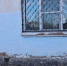«Он до 2030 года не достоит»: жильцы аварийного дома в Чите бьют тревогу - ZAB.RU