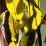 В Госдуме назвали основные правила установки электрокотла на даче - ChitaMedia