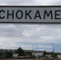 Житель Краснокаменска обвинил и.о. главы округа в бездействии из-за нападений собак - ZAB.RU