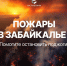 Забайкальские леса горят, гибнут животные! - Город Чита