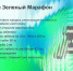 В Иркутске Зелёный Марафон состоится 31 мая  - ChitaMedia
