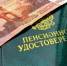 Кому повысят соцвыплаты с 1 июня, рассказали в Совфеде - ChitaMedia