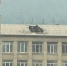 Ветер сорвал кусок крыши со школы №19 в Чите - Забайкальский рабочий