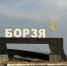 Прокуратура организовала проверку по призрачному озеленению в Борзе - ZAB.RU