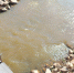 Сбросы сточных вод артелями испортили воду в реках Белый Урюм и Ундурга - ZAB.RU
