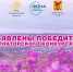 Сорок проектов выиграли гранты губернатора Забайкалья - Забайкальский рабочий