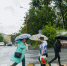 дождь Илья Аверьянов, ИА PrimaMedia - ChitaMedia