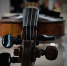 Скрипка Владислав Беляцкий, ИА SakhalinMedia - ChitaMedia