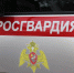 Сотрудники Росгвардии задержали мужчин, которые собирали грибы с коноплёй - Росгвардия