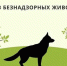 32 собаки отловили в Чите 8 сентября - Город Чита