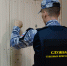 Должница пыталась спустить сторожевую собаку на судебного пристава в Чите - УФССП