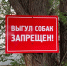 Единая служба по отлову и защите от бездомных собак может появиться в России - ZAB.RU