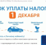 Напоминание от ФНС: до 1 декабря необходимо уплатить налоги - Департамент по обеспечению деятельности мировых судей