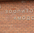 На директора зоопитомника «Амодово» возбудили дела об административных нарушениях - ZAB.RU