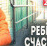 Комфортная городская среда для особенных горожан - ZAB.RU