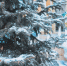 Погода ИА ChitaMedia Анастасия Москалёва - ChitaMedia