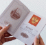 Россия ужесточила доступ мигрантов к бесплатной медицине - ChitaMedia