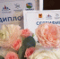 Программа лагеря дневного пребывания ЦДЮТиК города Читы признана лучшей в Забайкалье - Комитет образования г. Чита