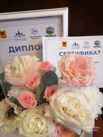 Программа лагеря дневного пребывания ЦДЮТиК города Читы признана лучшей в Забайкалье