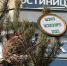 Более 1,1 тысячи новогодних мероприятий для детей пройдут в Чите - ChitaMedia