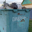 Олерон+ Анастасия Москалёва, ИА ChitaMedia - ChitaMedia