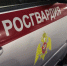 Сотрудники Росгвардии задержали мужчину, который нарушал общественный порядок в читинском кафе - Росгвардия