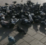 Сотрудникам "Почты России" предлагают поднять зарплату - ChitaMedia