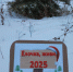 Подведены итоги регионального экологического конкурса «Елочка, живи! - 2025» - Рослесозащита