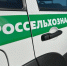Россельхознадзор в Забайкалье выявил сотни нарушений в продукции - ZAB.RU