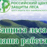 В ЦЗЛ Забайкальского края прошло выездное совещание под председательством заместителя руководителя Федерального агентства лесного хозяйства А.В. Венглинского - Рослесозащита