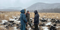 Виновника первых двух лесных пожаров нашли в Забайкалье - Забайкальский рабочий
