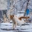 Снег Мария Смитюк, ИА PrimaMedia.ru - ChitaMedia