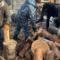 Судебные приставы помогли наколоть дрова пожилым забайкалкам - УФССП