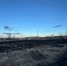 Читинка выбросила тлеющую золу в огороде и устроила крупный пожар - Забайкальский рабочий