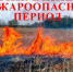 В Забайкалье объявлен пожароопасный сезон - Рослесозащита