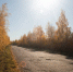 Природа Евгений Овдеенко, ИА OmskMedia - ChitaMedia