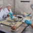 Сельскохозяйственный потребительский кооператив &quotХадара&quot из села Хара-Шибирь правительство Забайкалья - ChitaMedia