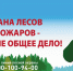 Лесные пожары – это опасная и грозная стихи - Город Чита