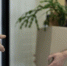 Топ-10 самых неожиданных высокооплачиваемых профессий в России - ChitaMedia